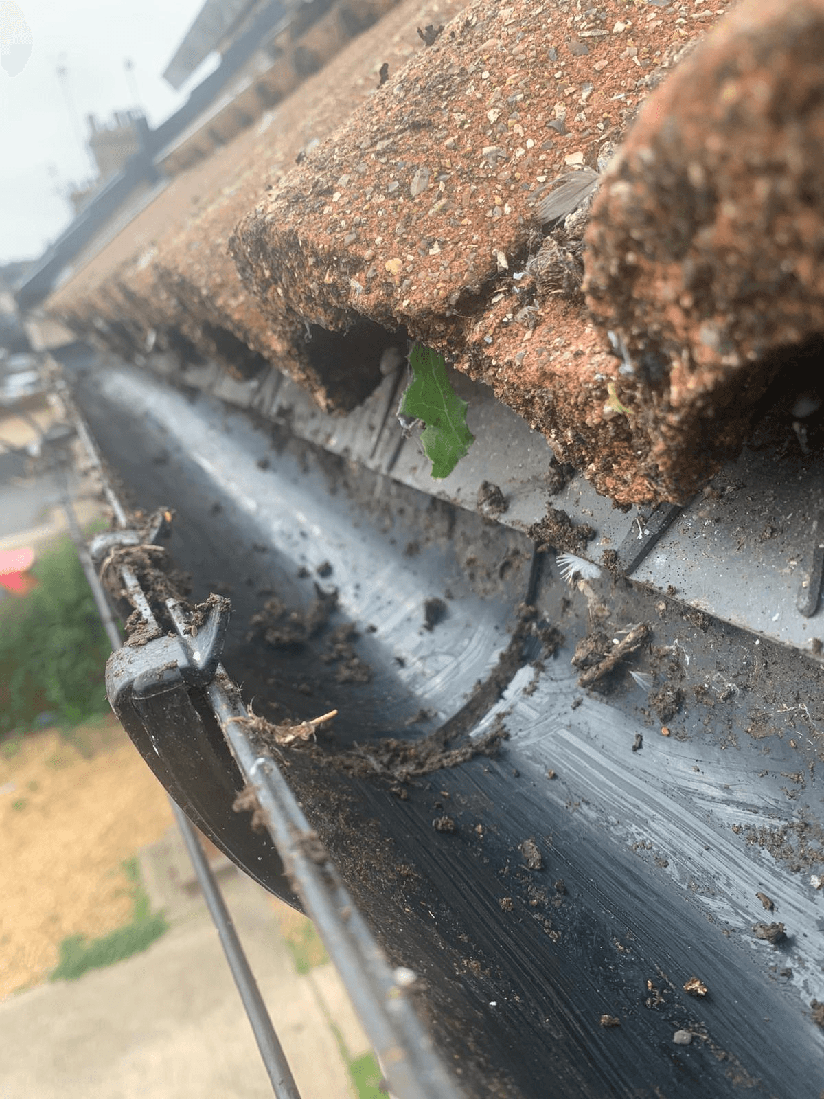 Gutter Clearing